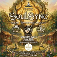 SoulSync: Solar Awakening Market