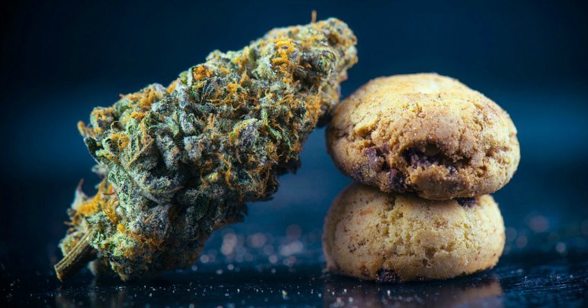 Pair of Kelowna cannabis companies strike $25M deal