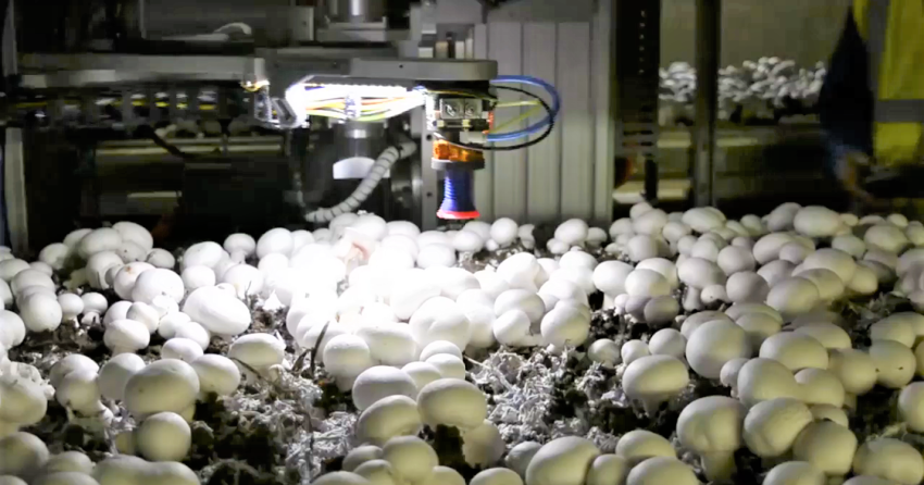 Robots can pick mushrooms, pour concrete and unload rail cars