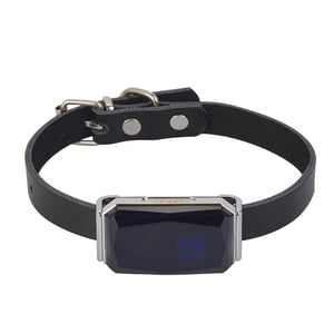 Collare per gatti con localizzatore GPS
