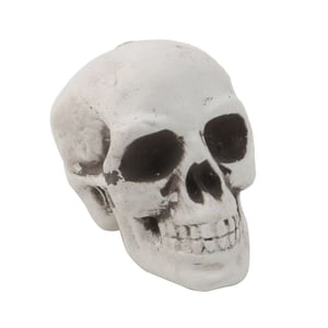 Testa di scheletro di Halloween | Maschera teschio spaventosa di Halloween