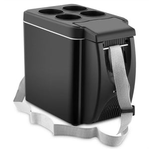 Raffreddatore elettrico per auto