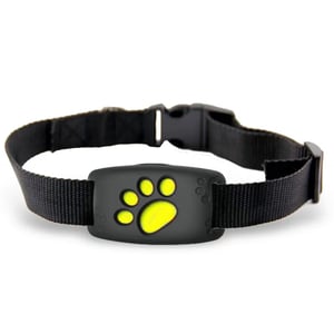 Collare per gatti con localizzazione GPS in tempo reale