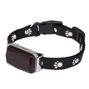 Collare per gatti con localizzatore GPS