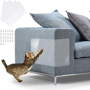 Protezione divano gatto