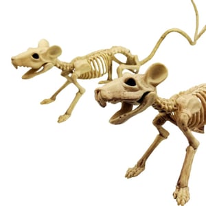 Scheletro Mouse Halloween