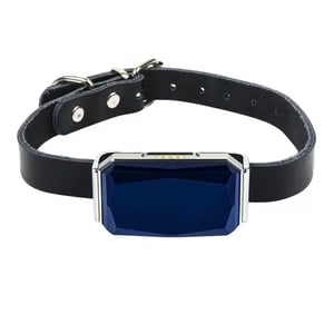 Collare impermeabile per gatti con WiFi, GSM e GPS