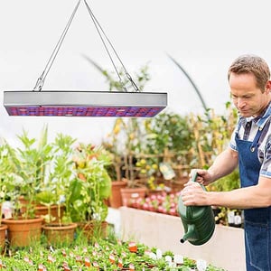 Lampada per orticoltura : Lampada UV per giardinaggio