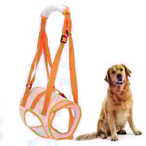 Pettorina per cani disabili