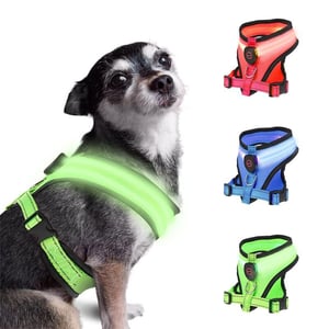 Pettorina luminosa per cani