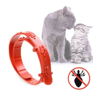 Collare antipulci per gatti