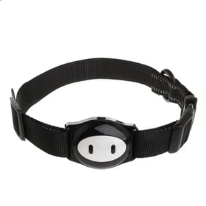 Collare per gatti con localizzatore GPS
