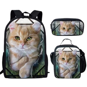 Raccoglitore per gattini