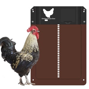 Porta Automatica del Pollaio