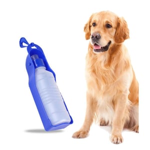Borraccia da viaggio per cani