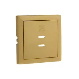 Usb dubbele opladerplaat type goud