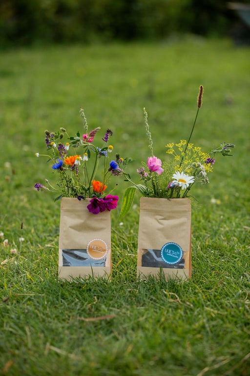 AANBIEDING mix Bloementuintje en Kruidenweitje