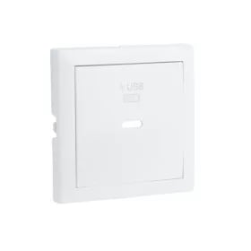 Usb-laadplaat type c power enkel ice