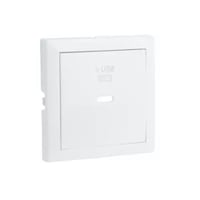 Usb-laadplaat type c power enkel ice