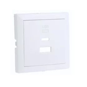 Usb dubbele opladerplaat type a en c ice