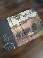 Ukie's inspiratiegids paardvriendelijke huisvesting