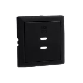 Usb dubbele opladerplaat type mat zwart