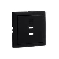 Usb dubbele opladerplaat type mat zwart