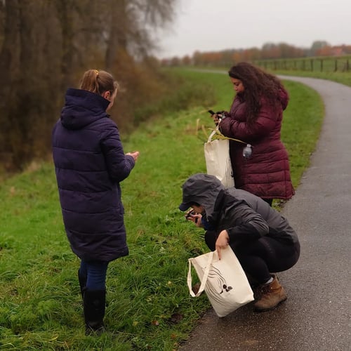 Wildplukwandeling Haarsteeg