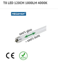 T8 LED 16/36W 1800LM 4000K 1.20M LEDBUIS
