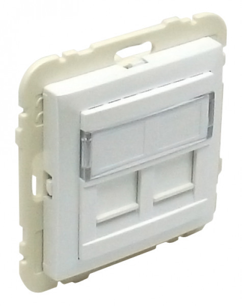 Efapel Sokkel En Centraalplaat Tbv 2*Rj45 Ice