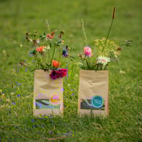 Aanbieding - set Ukie's bloementuintje en kruidenweitje