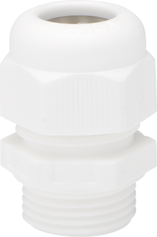 Niko - M20-wartel, white