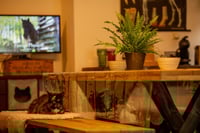 Themadag planten en passive physio