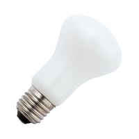Masterlight - Gloeilamp Superlux/Krypton 100W E27opaal S279184350