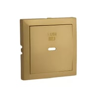 Usb-opladerplaat type c enkel goud