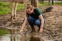 Analyse drinkwater voor paarden inclusief advies