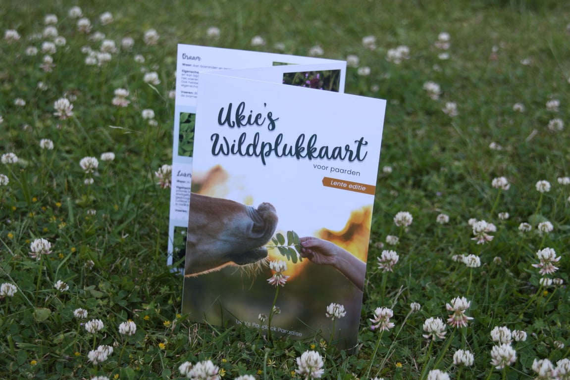 Ukie's Wildplukkaart lente