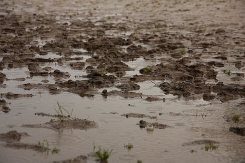 Help, een natte paddock!