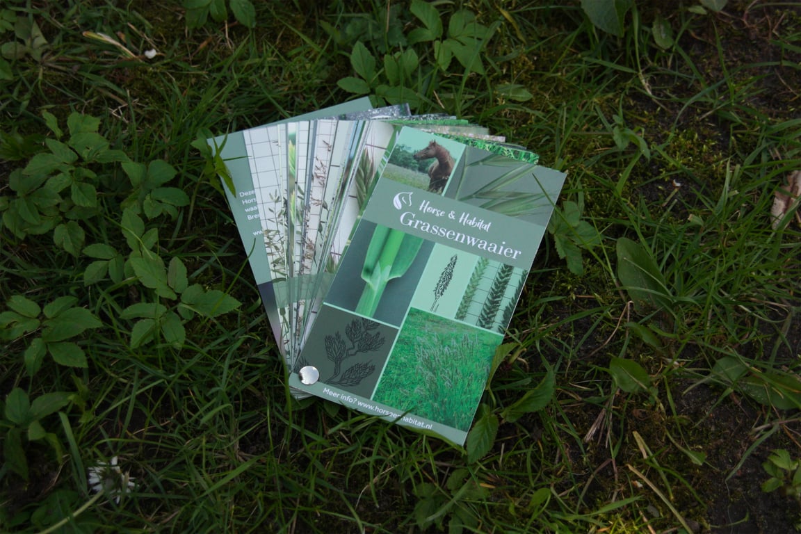 Grassenwaaier paardenweide