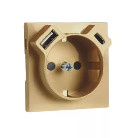 Efapel basis cpl wcd ra inb 1v steekc. goud met usb a+c