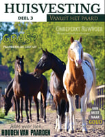 Magazine Vanuit het paard deel 3