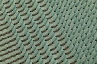 Vloerkleed Gan Rugs Canevas Geo Green