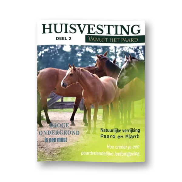 Magazine Vanuit het paard deel 2