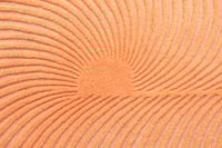 Design vloerkleed Gan Rugs Giro Peach