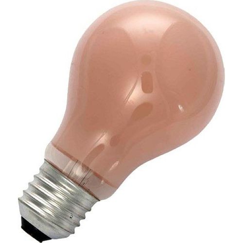 Masterlight - Gloeilamp Standaard 60W E27 flame S276084121