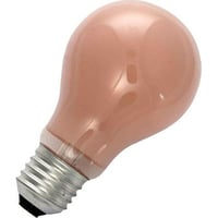 Masterlight - Gloeilamp Standaard 60W E27 flame S276084121