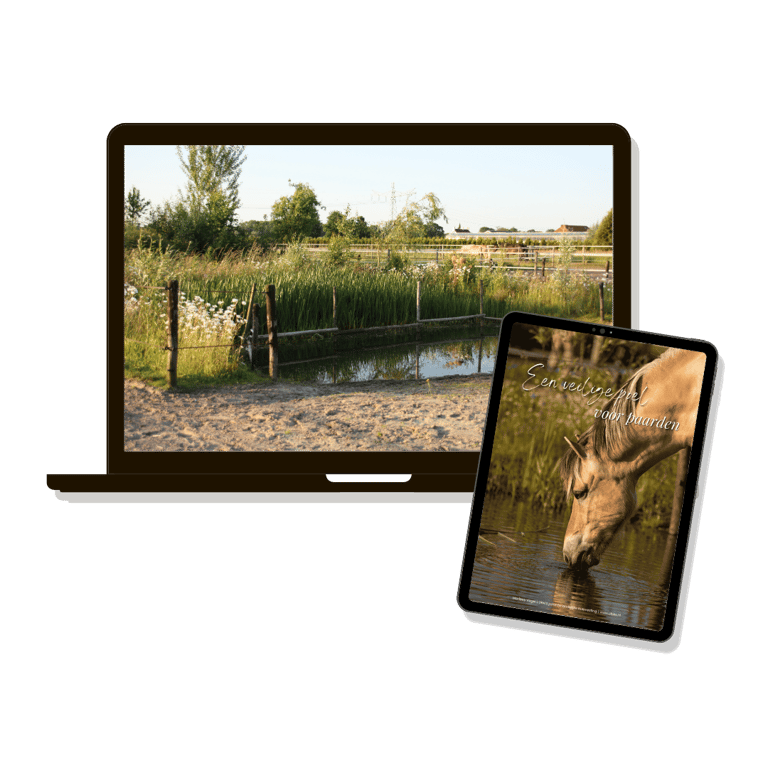 E-book een veilige poel voor paarden