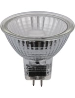 Masterlight - LED GU5.3 COB MR16 Glass 50x48 12V 350Lm 7W 827 36° AC Non-D SL642770727