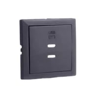 Usb dubbele opladerplaat type grijs