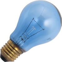 Masterlight - Gloeilamp Neodyme/daylight 100W E27 blau S419951253
